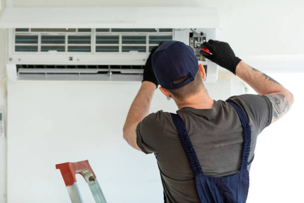 Best Mold and Mildew Removal from Ducts in Newstle, CA